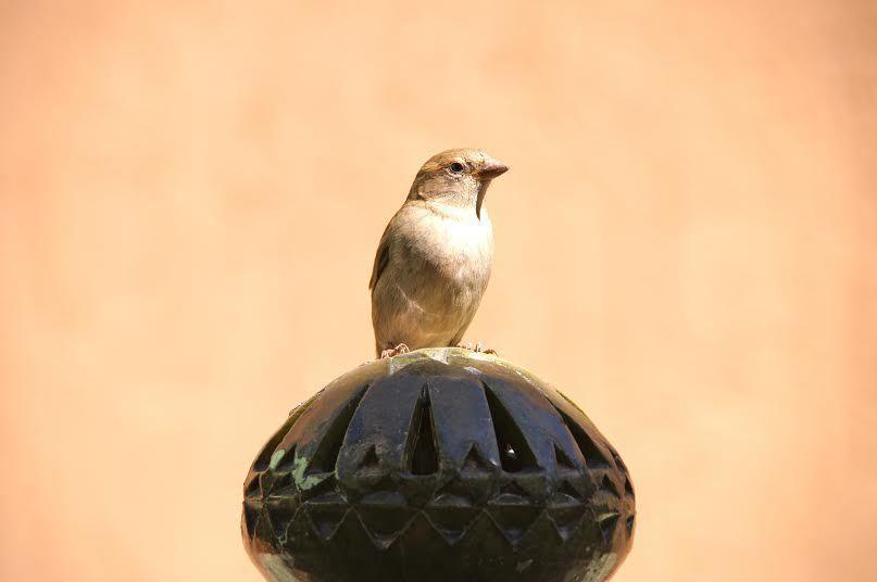 Riad La Maison Du Desert Oulad Driss Exteriör bild