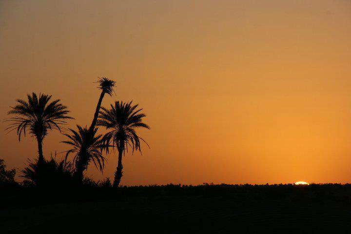 Riad La Maison Du Desert Oulad Driss Exteriör bild