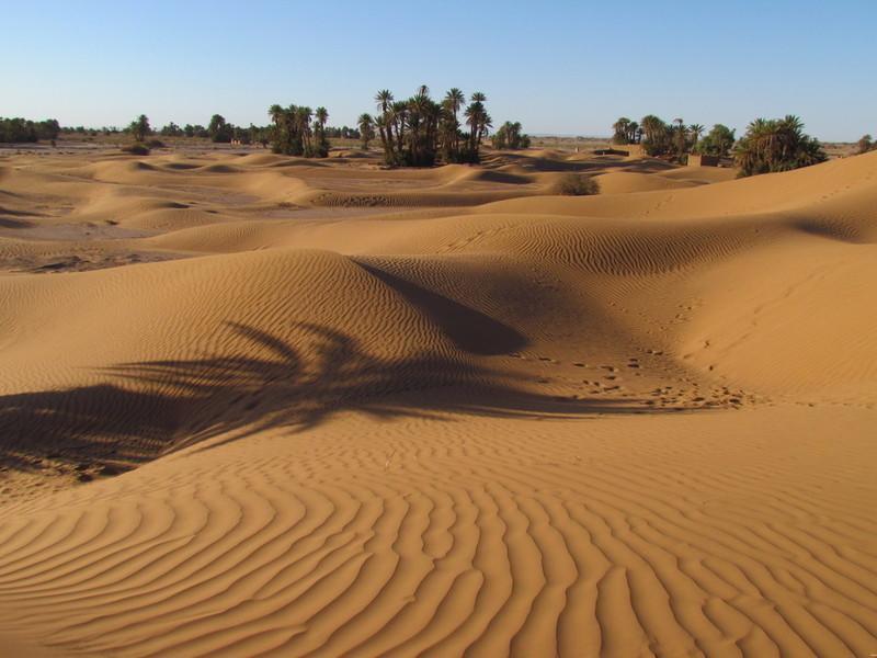 Riad La Maison Du Desert Oulad Driss Exteriör bild